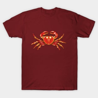 Crab isolated illustration T-Shirt